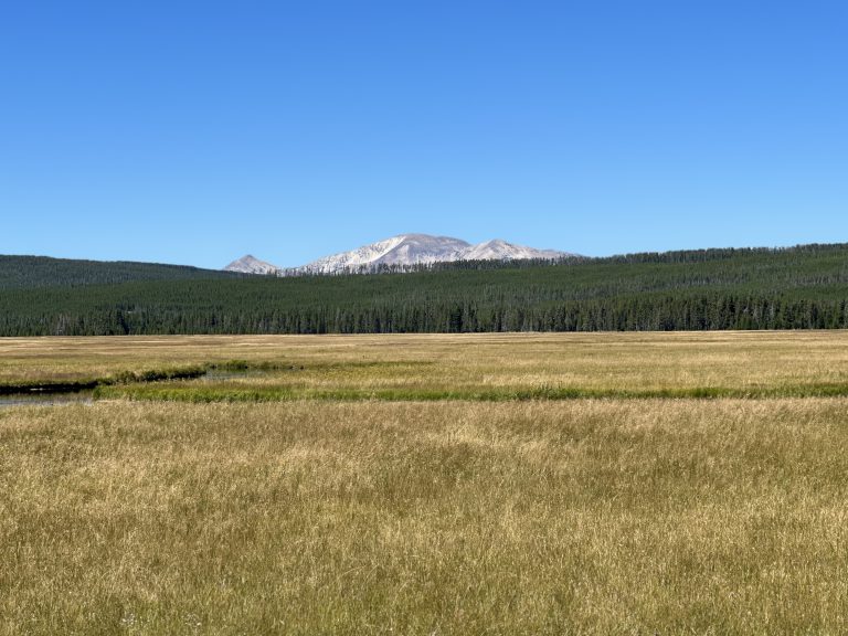 Life & Ministry Update 2024